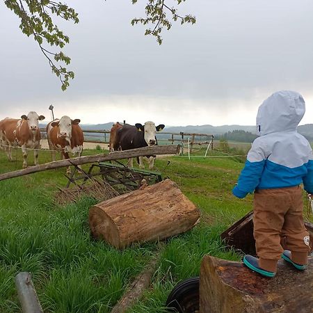 Ferienwohnung Im Muehlviertler Panorama Vierseithof Lembach im Mühlkreis Exterior foto