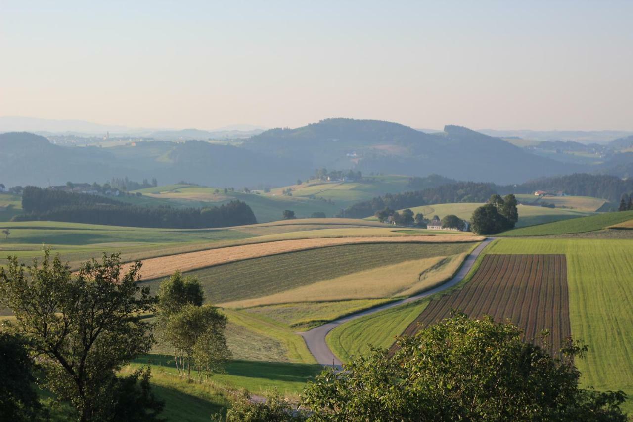 Ferienwohnung Im Muehlviertler Panorama Vierseithof Lembach im Mühlkreis Exterior foto